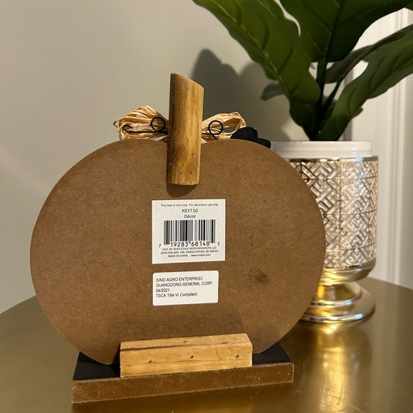 Fall / Autumn Tabletop Pumpkin Home Decor - Picture 4 of 4